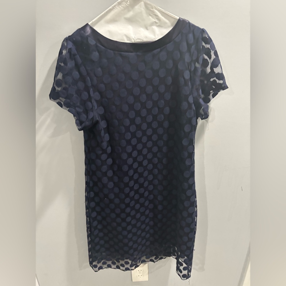 En Focus Navy Blue Polka Dot Women's A-Line Dress-size large - Picture 7 of 7